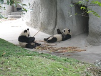 2009 China 1346